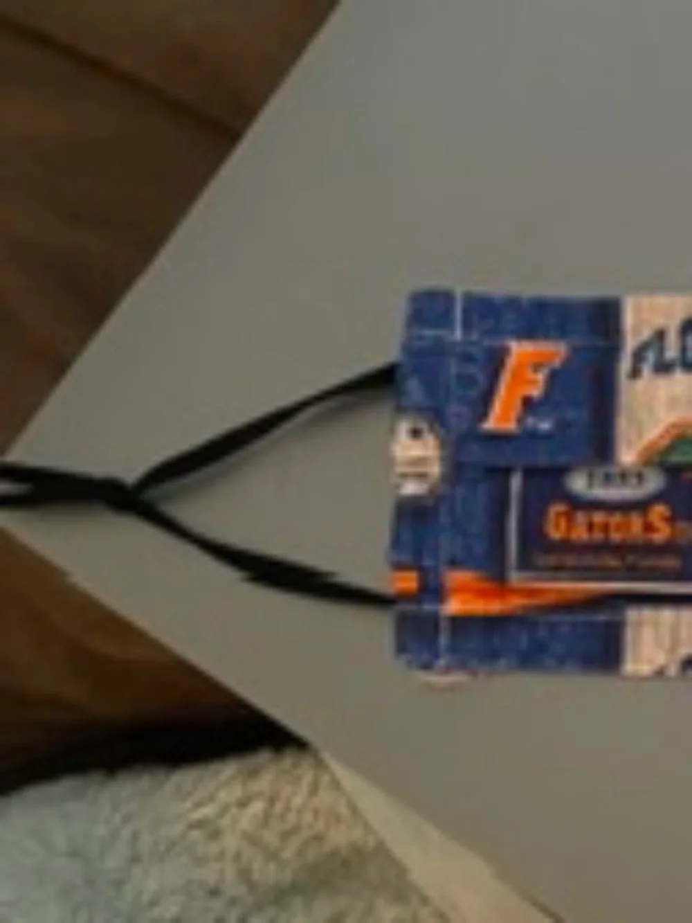 UF University of Florida protective cloth mask